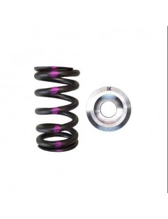 Single valve spring kit / titanium plate (Nissan QR25DE)