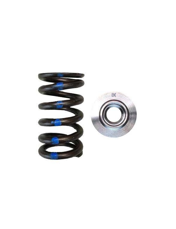 Single valve spring kit / titanium plate (Nissan RB26DETT)