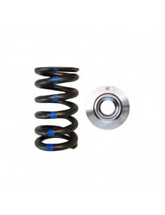 Single valve spring kit / titanium plate (Nissan RB26DETT)