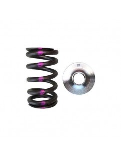 Single valve spring kit / titanium plate (Nissan SR20DE / DET)