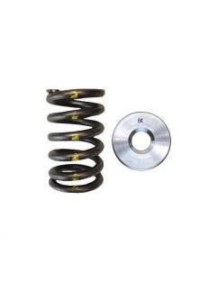 Single valve spring kit / titanium plate (Nissan TB48)