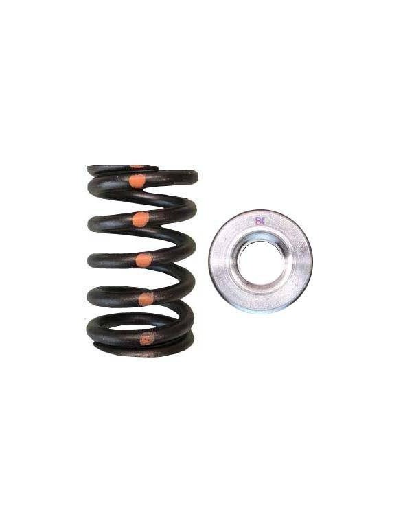 Single valve spring kit / titanium plate (Nissan VH45DE)