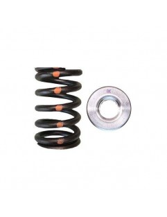 Single valve spring kit / titanium plate (Nissan VH45DE)