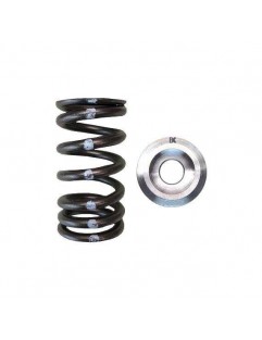 Single valve spring kit / titanium plate (Nissan VK56DE)