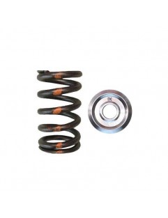 Single valve spring kit / titanium plate (Subaru EJ Series, Toyota 3SGTE / GE)