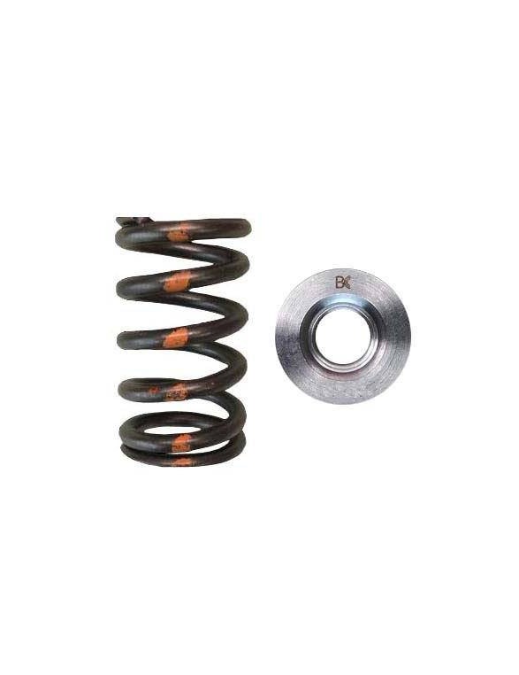 Single valve spring kit / titanium plate (Toyota 1FZFE)