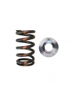 Single valve spring kit / titanium plate (Toyota 1FZFE)