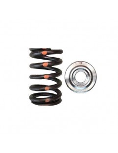 Single valve spring kit / titanium plate (Toyota 2JZGTE / Lexus 2JZGE)