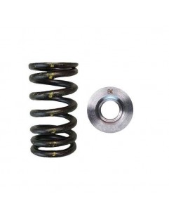 Single valve spring kit / titanium plate (Toyota 7MGTE / 7MGE)