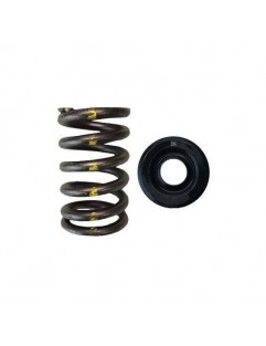 Single Valve Spring Kit / Steel Valve Cup Kit (Toyota 2JZGTE / Lexus 2JZGE)