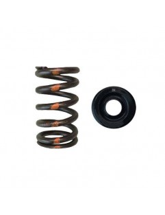 Single Valve Spring Kit / Steel Valve Cup Kit Kit (Subaru EJ Series, Toyota 3SGTE / GE)