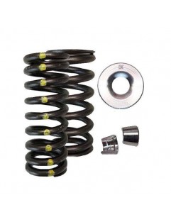 Single valve spring kit / Steel pan / Valve Guard Kit (Honda L15B7)