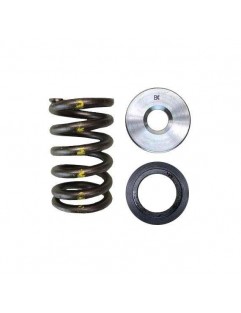 Single Valve Spring Kit / Titanium Bowl (Scion 2AZ-FE)