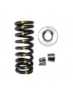 Single Valve Spring Kit / Titanium Valve Cup Kit / Valve Guard Kit (Honda R18)