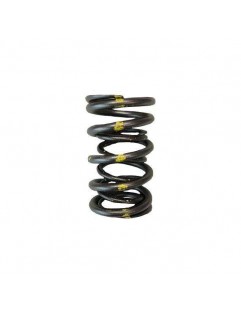 Double Valve Spring Kit (Honda C30A / C32B NSX)