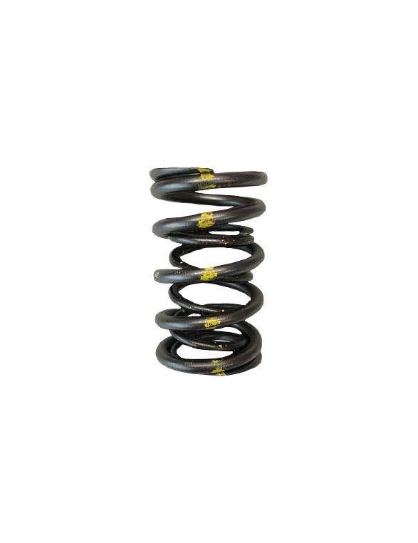 Double Valve Spring Kit (Honda C30A / C32B NSX)