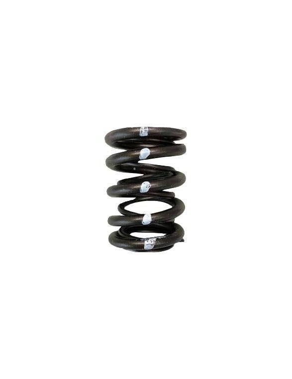 Double Valve Spring Set (Honda / Acura B18C / B16A / B17A, Nissan KA24DE)