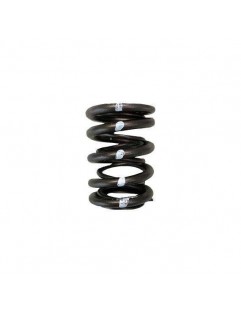 Double Valve Spring Set (Honda / Acura B18C / B16A / B17A, Nissan KA24DE)