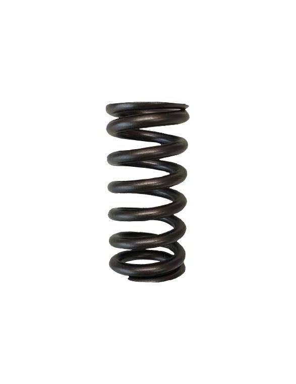 Single valve spring kit (Honda L15)