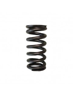 Single valve spring kit (Honda L15)