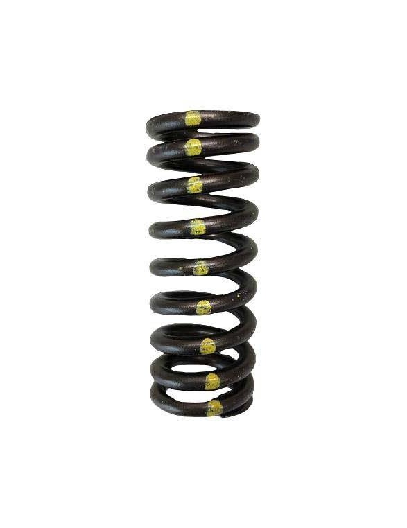 Single valve spring kit (Honda R18)