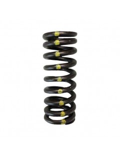 Single valve spring kit (Honda R18)