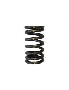 Single valve spring kit (Nissan VQ35DE)