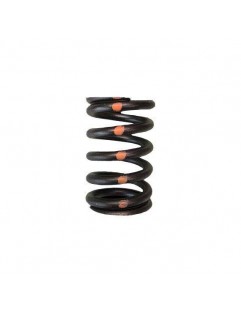 Single valve spring kit (Subaru EJ205-WRX / EJ257-STi)