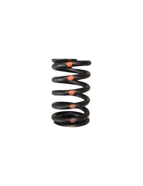 Single valve spring kit (Subaru EJ205-WRX / EJ257-STi)