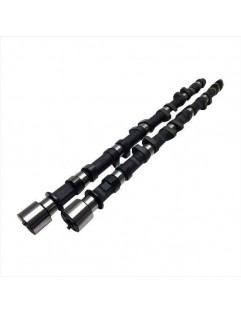 Camshafts - Forged Custom (Nissan TB48)