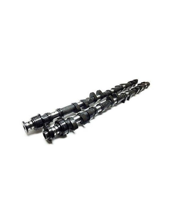 Camshafts - Forged Custom (Toyota 1FZFE)