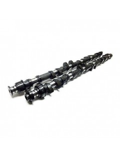 Camshafts - Forged Custom (Toyota 1FZFE)