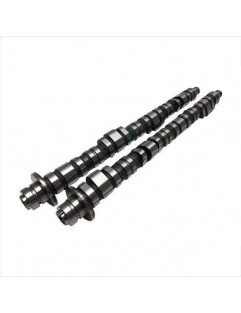 Camshafts - STAGE 2 (Honda F20C / F22C)