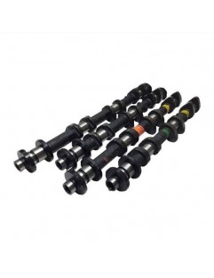 Camshafts - STAGE 2 - 264 Spec (Nissan VQ35DE - 2003-2006)