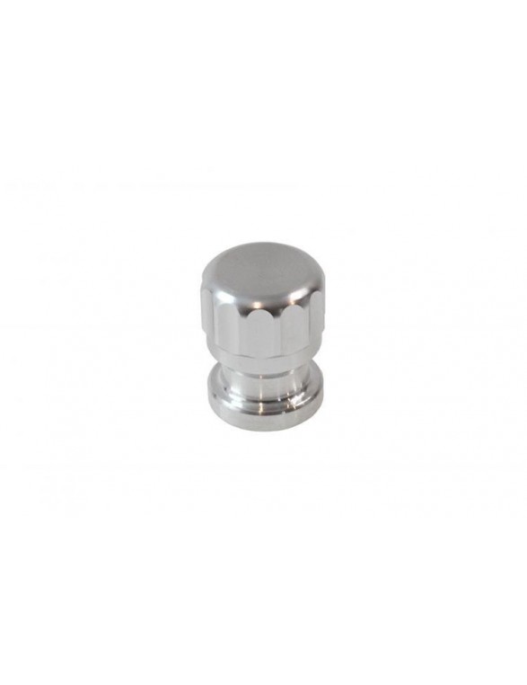 Aluminum welding plug 1 "Silver