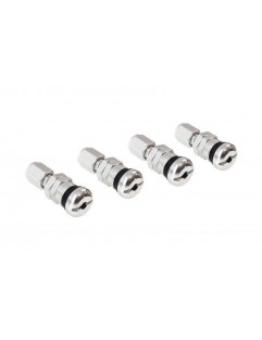 Silver Aluminum Valves