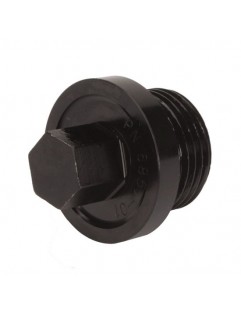 Winters 1-1 / 16 "x 12 differential inspection plug