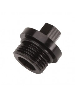 Winters 1-1 / 16 "x 12 differential inspection plug