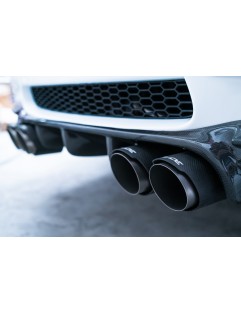 Double tip Muffler 101mm 76mm slide input