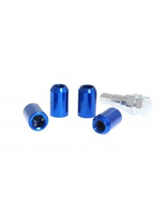 Nuts M12x1.25 Steel 32mm Blue Crossing Cone Security