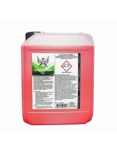 RR CUSTOMS Active Shampoo 5L (Shampoo)