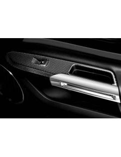 Ford Mustang 15-19 carbon side panel veneer