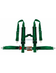 4p 2 "Green sports belts - DTM