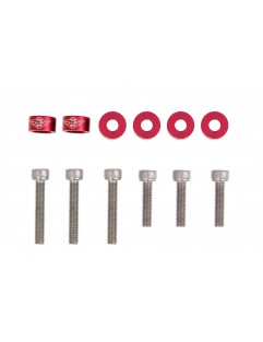 Honda Red VTec valve screws