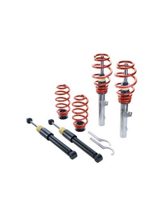 Suspension Eibach Pro-Street-S Seat LEON (1P1) Volkswagen GOLF VI (5K1)