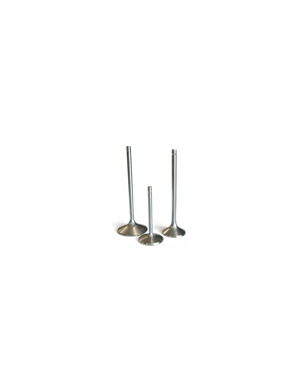 Exhaust valve AUDI V8 3.6 L - DOHC 32 VALVE (PT) - 1990-1991