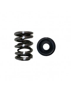 Set of double valve springs, steel valve cups and valve seats (Honda H22 - HIGH MILEAGE STREET)